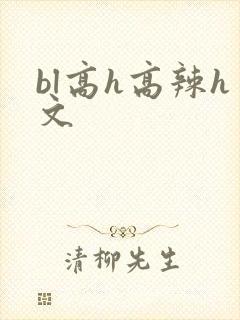 bl高h高辣h文