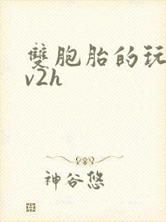 双胞胎的玩具1v2h