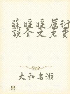 苏暖暖厉衍琛小说全文免费阅读