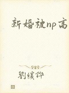 新婚被np高h