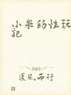 小米的性玩具日记封面