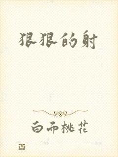 狠狠的射