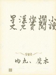 星汉灿烂小说全文免费阅读