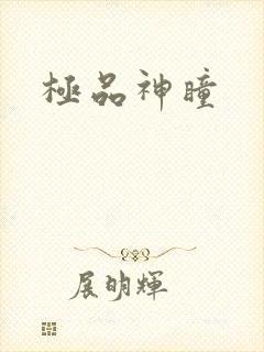 极品神瞳