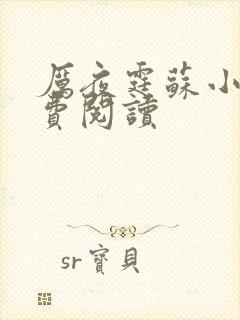 厉夜霆苏小汐免费阅读