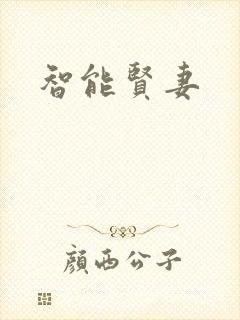 智能贤妻封面