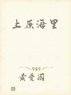 上原海里