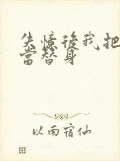 失忆后我把渣攻当替身封面