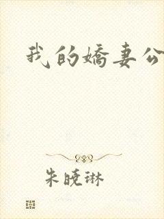 我的娇妻公务员