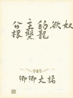 公主的欲奴h四根双龙