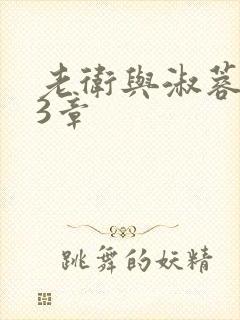 老卫与淑蓉第13章封面