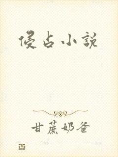 侵占小说