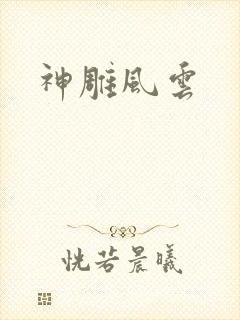 神雕风云封面