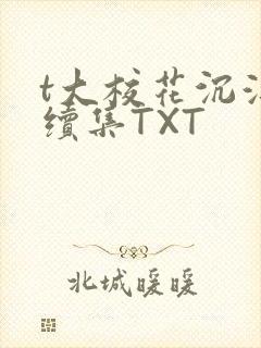 t大校花沉浮录续集TXT