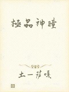 极品神瞳