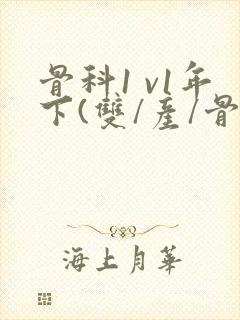 骨科1 v1年下(双/产/骨科年下)