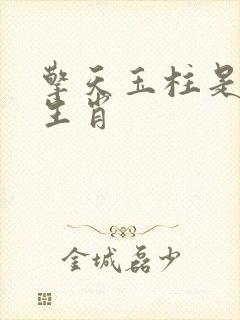 擎天玉柱是什么生肖
