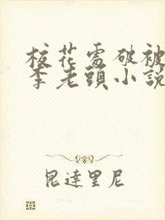 校花处破被灌满李老头小说