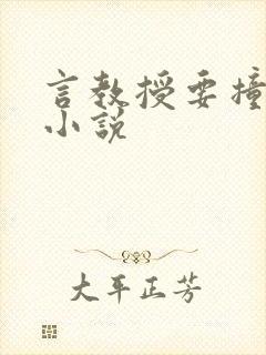 言教授要撞坏了小说