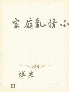 家庭乱情小说封面