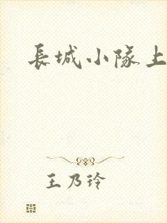 长城小队上中下封面