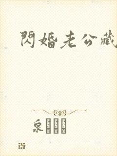 闪婚老公藏不住