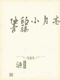 他的小月亮by青藤