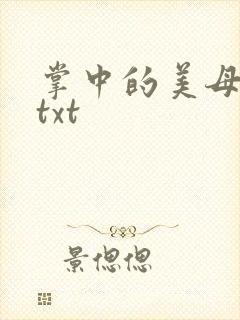 掌中的美母版主txt