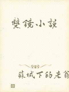双镜小说