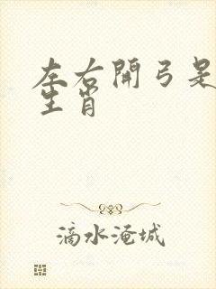 左右开弓是什么生肖封面