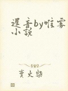 迟音by唯雾的小说封面