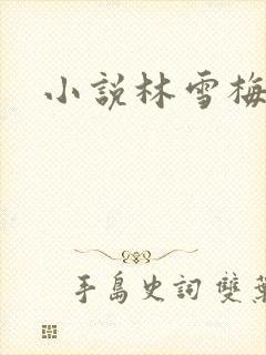 小说林雪梅