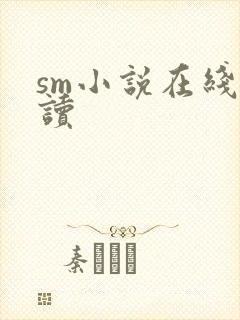 sm小说在线阅读封面