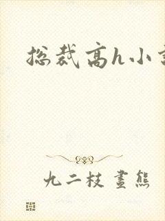 总裁高h小说
