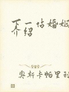 下一站婚姻剧情介绍