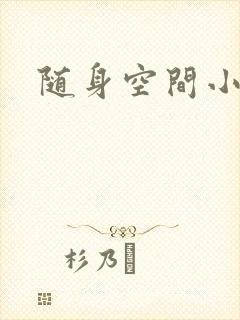 随身空间小说