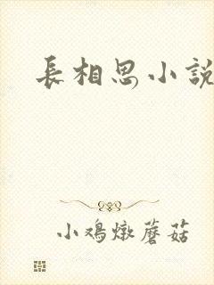 长相思小说原著