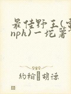 最佳野王(电竞nph)一坨薯饼封面