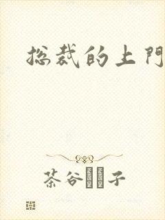 总裁的上门女婿