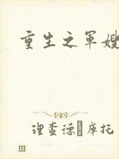 重生之军嫂封面