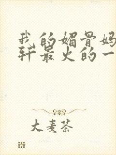 我的媚骨妈妈林轩最火的一句