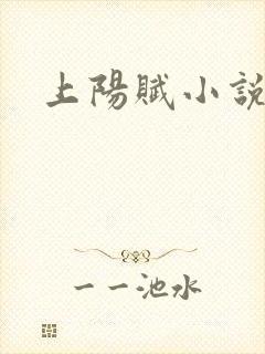 上阳赋小说