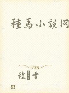 种马小说网