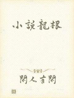 小说龙根