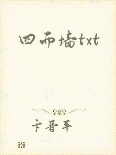 四面墙txt