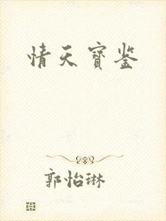 情天宝鉴封面
