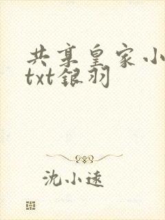 共享皇家小公主txt银羽封面