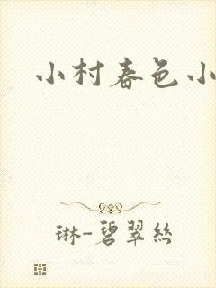 小村春色小说
