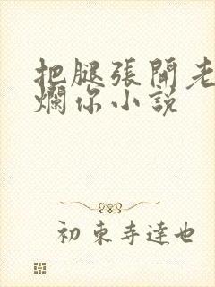 把腿张开老子臊烂你小说