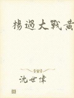杨过大战黄蓉